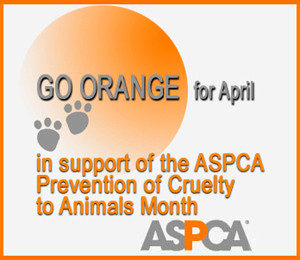April is Prevention of Cruelty to Animals Month