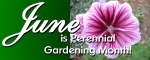 Perennial Gardens