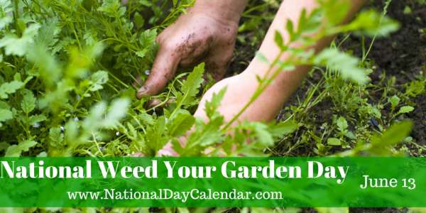 Weed Your Garden